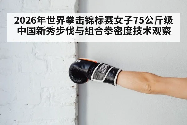 boxing gloves closeup punch